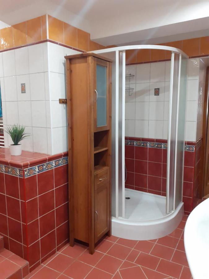 Apartman U Potoka Bujanov Buitenkant foto